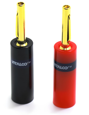 WTYK VITALCO BANAN LAW23