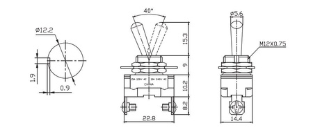PRZEŁĄCZNIK DŹWIGNIOWY SAMOCHODOWY ASW-23-101A 240V 10A