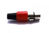 WTYK MIKROFONOWY XLR CANON RED 3 PIN ŻEŃSKI