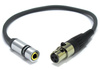 ADAPTER XLR 3 PIN MINI ŻEŃSKI - GNIAZDO MINI JACK 3,5 VITALCO MIKROFON