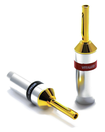 WTYK VITALCO BANAN LAW45 